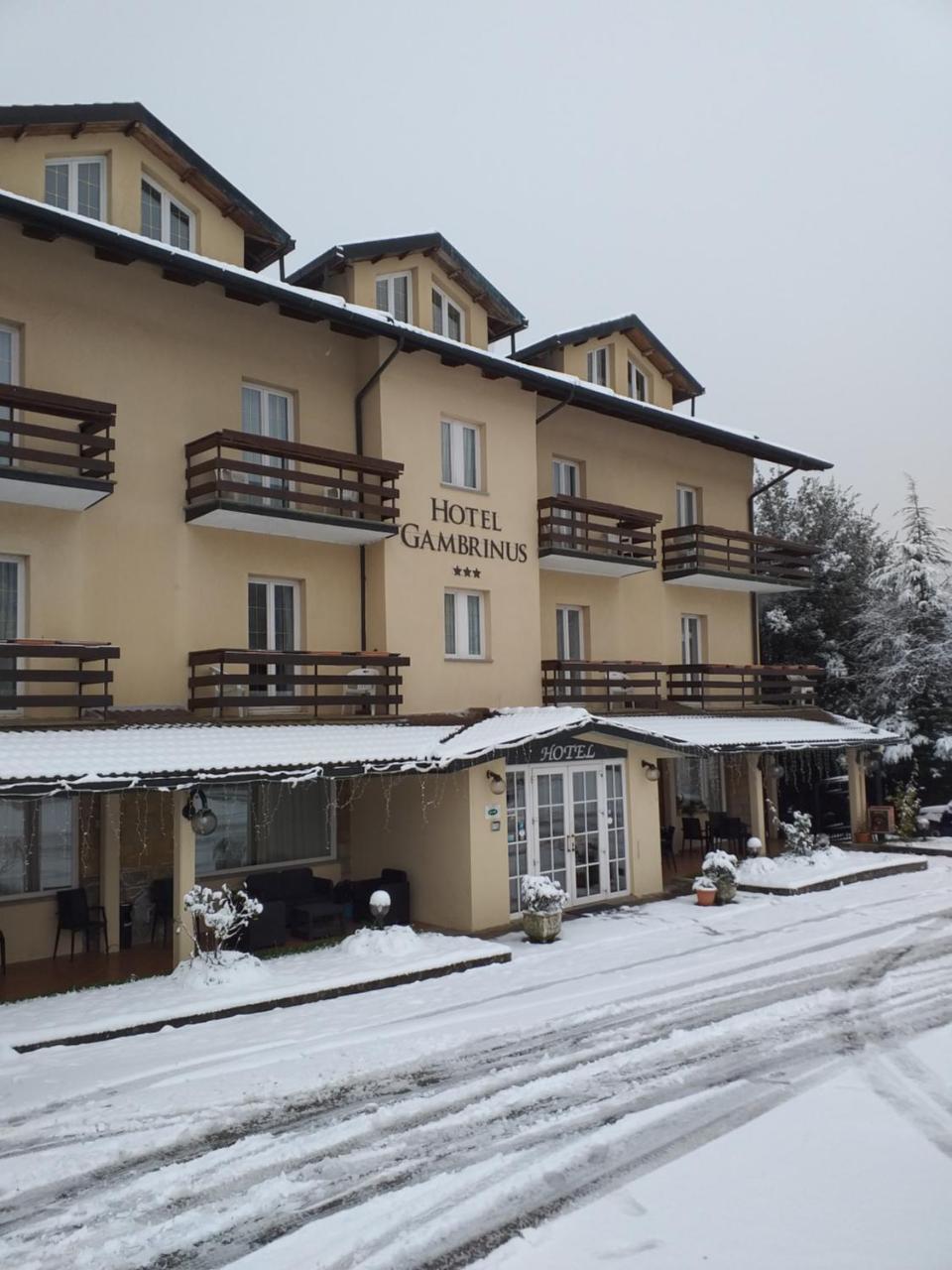 Hotel Gambrinus Abbadia San Salvator Bagian luar foto